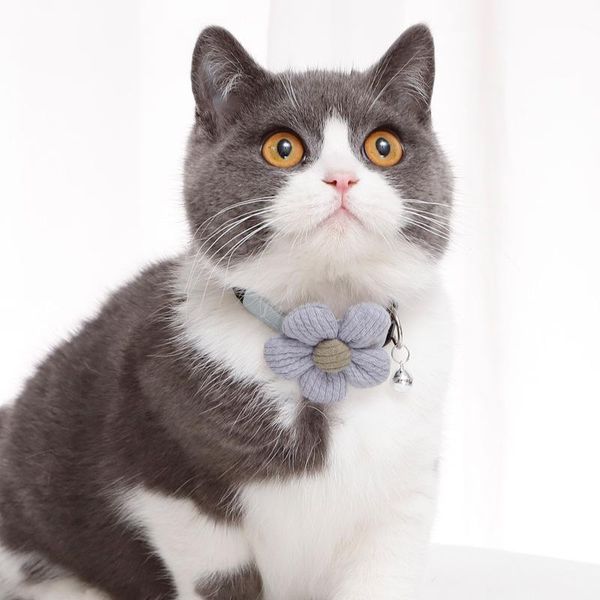 cat collars & leads collar with bell tie gentleman sunflower dress up pup kitten accessories flower necklace
cat collars & leads collar with bell tie gentleman sunflower dress up pup kitten accessories flower necklace