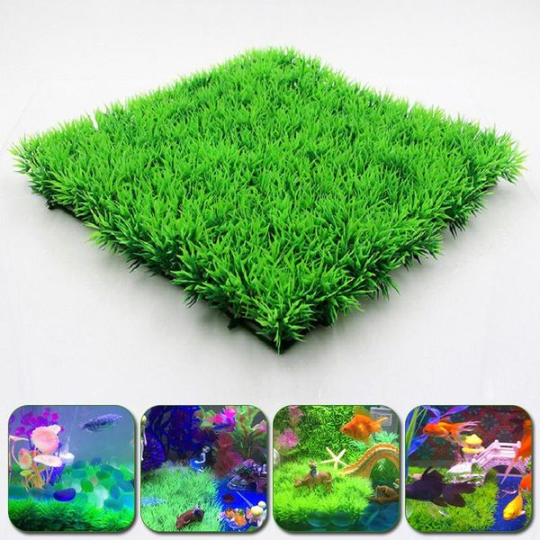 eco-friendly aquarium ornaments artificial water plastic green grass plant lawn aquatic fish tank landscape decor decorations
eco-friendly aquarium ornaments artificial water plastic green grass plant lawn aquatic fish tank landscape decor decorations