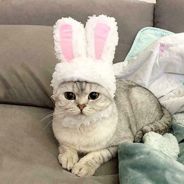 cat costumes funny cosplay ears hat cap pet accessories short plush tape po props headwer
cat costumes funny cosplay ears hat cap pet accessories short plush tape po props headwer