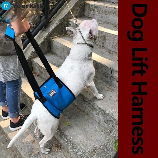 dog collars & leashes yourkith lift support harness walking aid injury protection belt old
dog collars & leashes yourkith lift support harness walking aid injury protection belt old