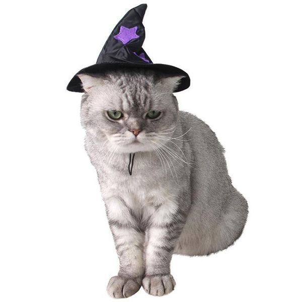 cat costumes 2021 fashion costume hat adjustable pet witch for halloween cute puppy kitten dress up decoration accessories
cat costumes 2021 fashion costume hat adjustable pet witch for halloween cute puppy kitten dress up decoration accessories