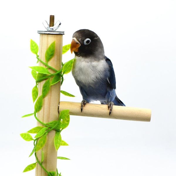 other bird supplies 1pcs pet parrot wood fork stand rack toy branch perches for hamster cage accessories
other bird supplies 1pcs pet parrot wood fork stand rack toy branch perches for hamster cage accessories