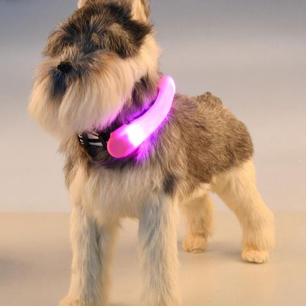 dog collars & leashes pet led light glowing bandage collar accessories silicone straps security warning lights night walking safe supplies
dog collars & leashes pet led light glowing bandage collar accessories silicone straps security warning lights night walking safe supplies