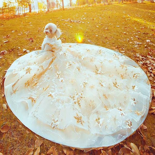 pet dog dress luxury trailing princess wedding offer hairpin puppy clothes golden embroidery for small dogs poodle apparel
pet dog dress luxury trailing princess wedding offer hairpin puppy clothes golden embroidery for small dogs poodle apparel
