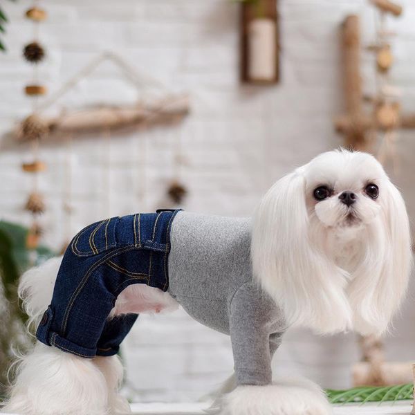 dog apparel winter pet clothes thick plush warm teddy vip hat hoodie for plaid bowknot small medium dogs chihuahua pug
dog apparel winter pet clothes thick plush warm teddy vip hat hoodie for plaid bowknot small medium dogs chihuahua pug
