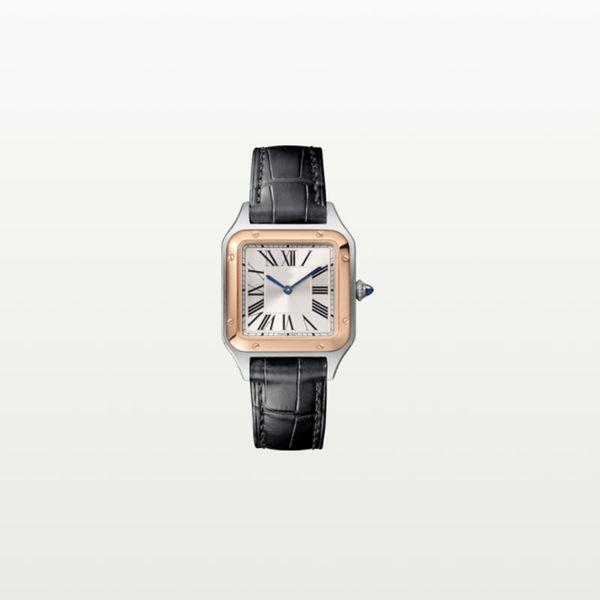 men's and women's watch designer luxury fashion masonry machinery quartz cowhide stainless steel ssss, Slivery;brown
men's and women's watch designer luxury fashion masonry machinery quartz cowhide stainless steel ssss, Slivery;brown