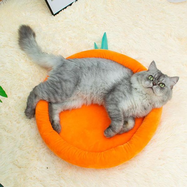cat beds & furniture warm bed house round fodable dog sleeping mat pad nest kennel pet cushion puppy for winter
cat beds & furniture warm bed house round fodable dog sleeping mat pad nest kennel pet cushion puppy for winter