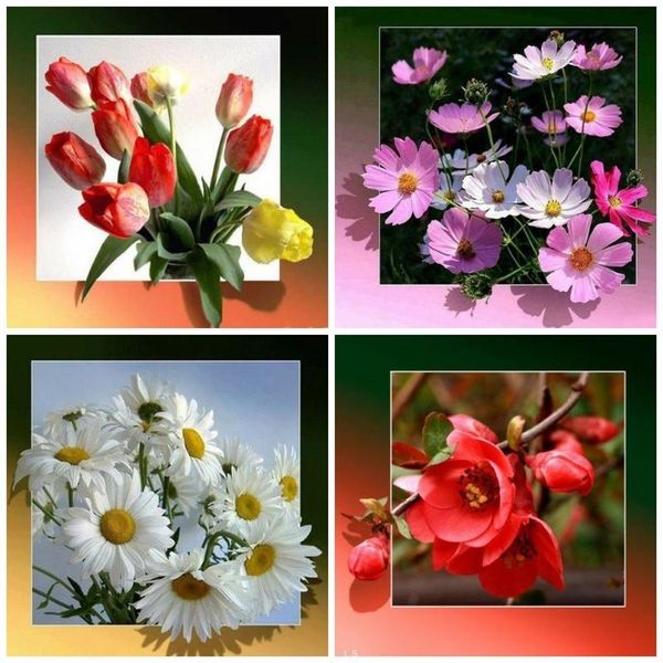 diamond painting flower embroidery daisy tulip 5d full square rhinestone picture rose mosaic handmade home decor
diamond painting flower embroidery daisy tulip 5d full square rhinestone picture rose mosaic handmade home decor