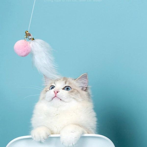 cat toys pet kitten interactive fun toy double head teaser feather for cats training led .
cat toys pet kitten interactive fun toy double head teaser feather for cats training led .