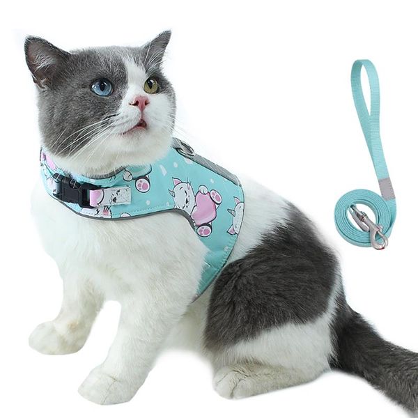 cat harness and leash set polyester mesh kitten puppy dogs vest leads pet clothes for small yorkies pug costumes
cat harness and leash set polyester mesh kitten puppy dogs vest leads pet clothes for small yorkies pug costumes