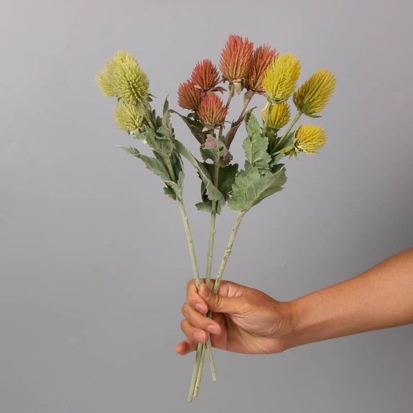 decorative flowers & wreaths artificial succulent floral vase with knox thistle flower arrangement simulation
decorative flowers & wreaths artificial succulent floral vase with knox thistle flower arrangement simulation