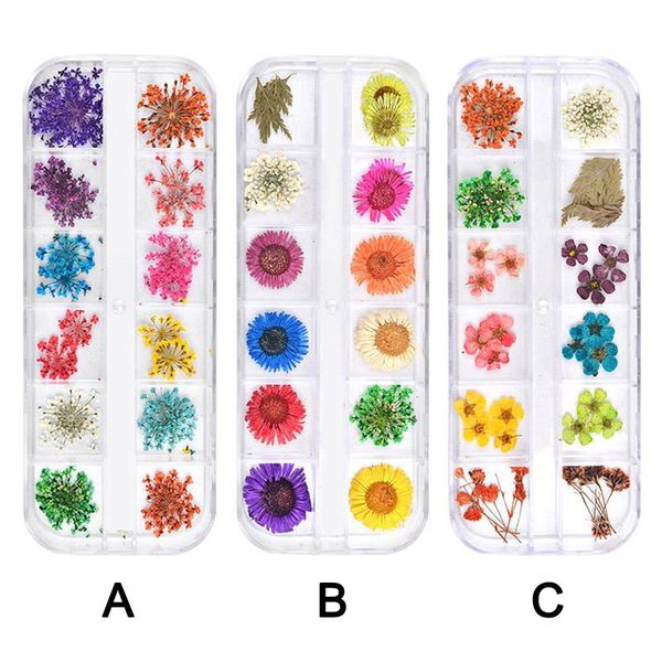 nail art decorations 12 grid dried flower rhinestones kit multicolor sana889, Silver;gold
nail art decorations 12 grid dried flower rhinestones kit multicolor sana889, Silver;gold