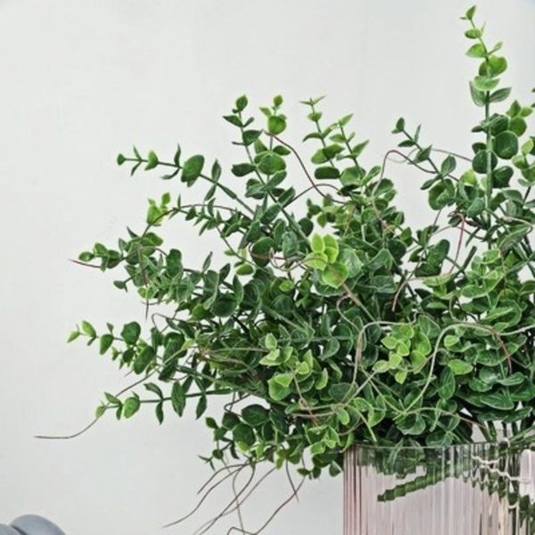 decorative flowers & wreaths artificial flower, single branch, length 44cm, green,eucalyptus leaf,home decoration,vase flower arrangement,we
decorative flowers & wreaths artificial flower, single branch, length 44cm, green,eucalyptus leaf,home decoration,vase flower arrangement,we