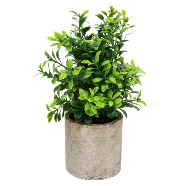 decorative flowers & wreaths 1pc simulation of green plant home decoration potted
decorative flowers & wreaths 1pc simulation of green plant home decoration potted