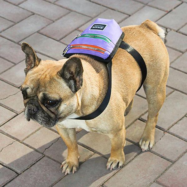 dog car seat covers travel backpack outdoor carrier bag for small dogs cute dog's own accessories clothes
dog car seat covers travel backpack outdoor carrier bag for small dogs cute dog's own accessories clothes