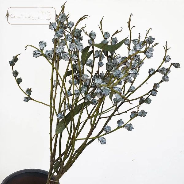 decorative flowers & wreaths dried 20g/bunch natural dry eucalyptus fruit,display floral for home marriage wedding favor easter decore,diy g
decorative flowers & wreaths dried 20g/bunch natural dry eucalyptus fruit,display floral for home marriage wedding favor easter decore,diy g