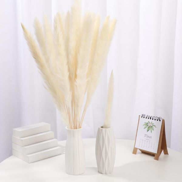 reed natural dried bouquets real plant stems flower wedding home decor material diy matching pography craft forget-me decorative flowers & w
reed natural dried bouquets real plant stems flower wedding home decor material diy matching pography craft forget-me decorative flowers & w