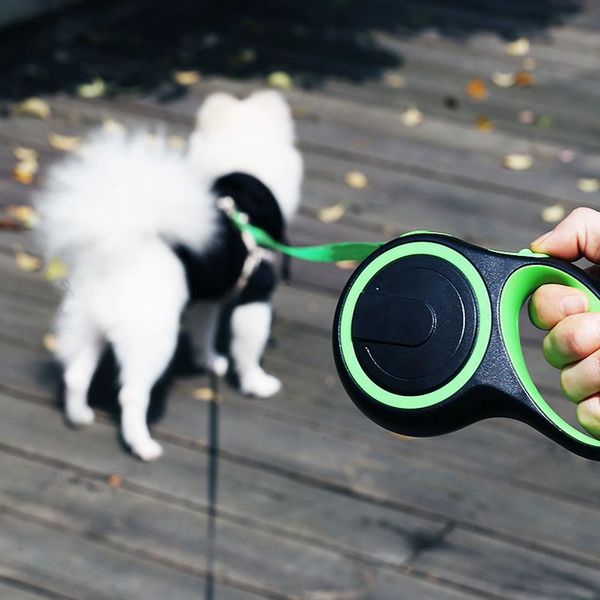 dog collars & leashes 3/5/8m durable nylon retractable walking leash long strong big puppy automatic extending rope roulette pet products
dog collars & leashes 3/5/8m durable nylon retractable walking leash long strong big puppy automatic extending rope roulette pet products