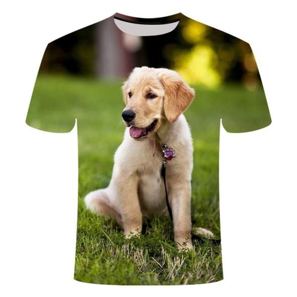 digital printing pet dog t-shirt labrador retriever oversized 110-6xl men's t-shirts, White;black
digital printing pet dog t-shirt labrador retriever oversized 110-6xl men's t-shirts, White;black