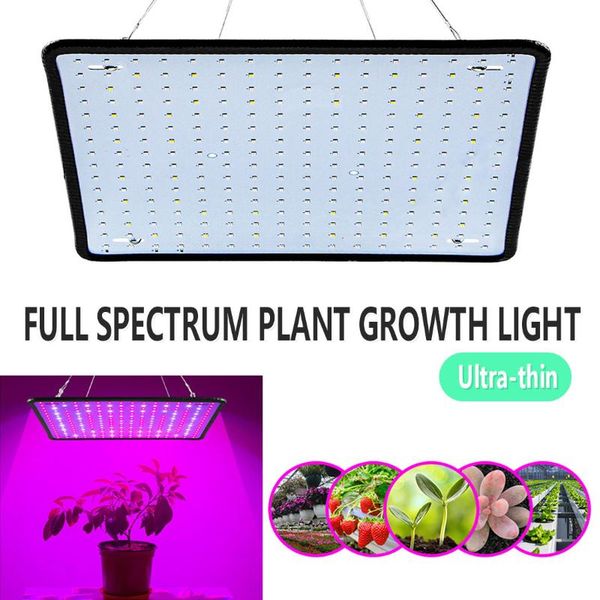 grow light led full spectrum lamp energy saving plant bulb greenhouses indoor phyto tent us eu uk plug lights
grow light led full spectrum lamp energy saving plant bulb greenhouses indoor phyto tent us eu uk plug lights