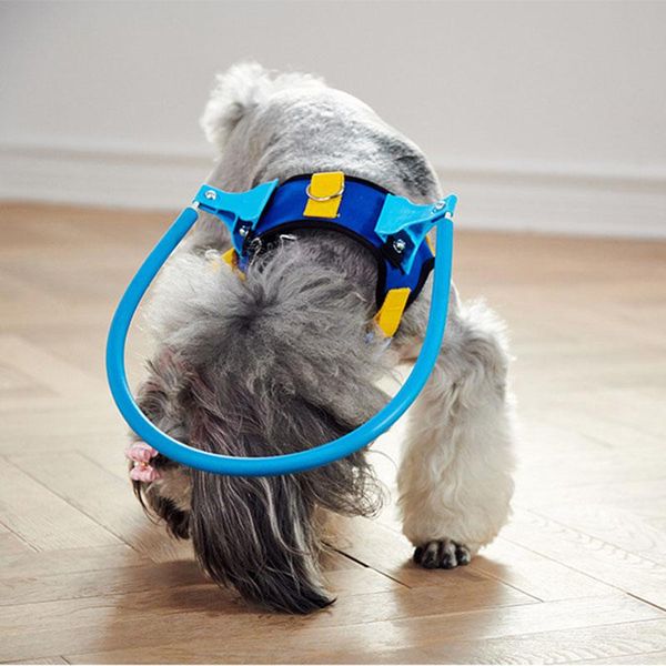 dog collars & leashes cataract animal protection ring leash comfortable adjustable breast-band small medium dogs pet products
dog collars & leashes cataract animal protection ring leash comfortable adjustable breast-band small medium dogs pet products