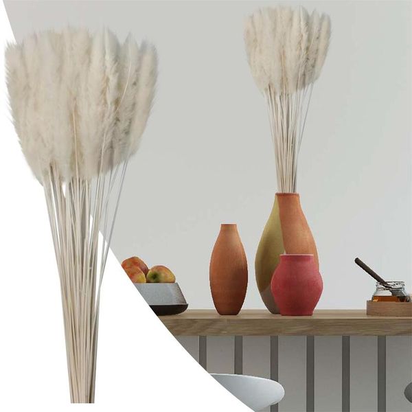 pieces /bundle pe natural dryness wholesale plant wall decoration bouquet material manual diy vases for home #t1p decorative flowers & wreat
pieces /bundle pe natural dryness wholesale plant wall decoration bouquet material manual diy vases for home #t1p decorative flowers & wreat