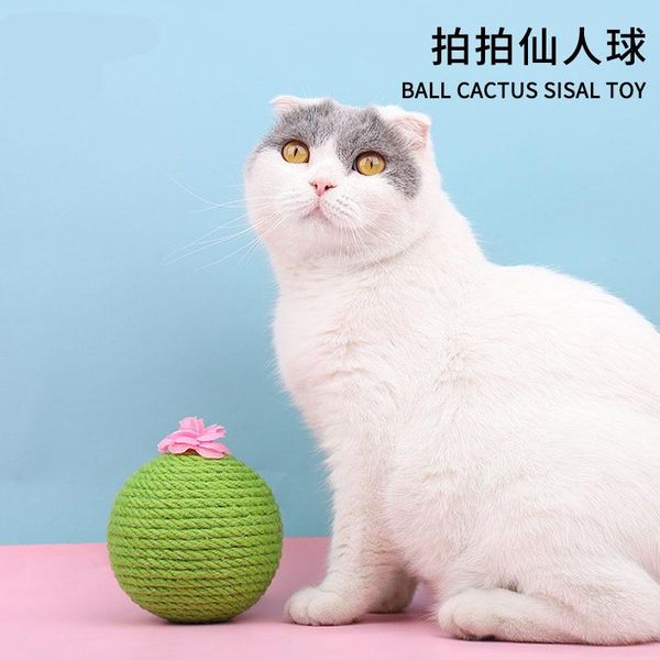 cat toys pet cactus sisal catching ball toy fairy scratching board grinding claw creative supplies
cat toys pet cactus sisal catching ball toy fairy scratching board grinding claw creative supplies