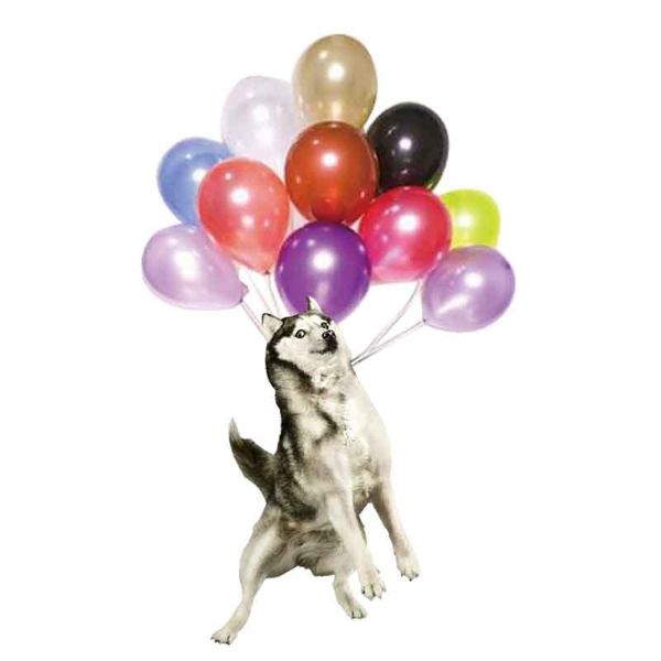 decorative objects & figurines flying dog bubbles car hanging pendant backpack ornaments cute home decorations
decorative objects & figurines flying dog bubbles car hanging pendant backpack ornaments cute home decorations