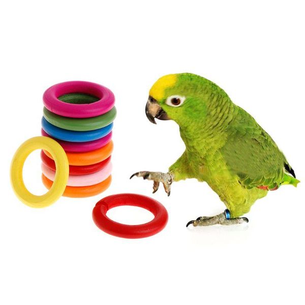 other bird supplies 10pcs wood rings parrot birds toys bite chew play natural colorful random color
other bird supplies 10pcs wood rings parrot birds toys bite chew play natural colorful random color