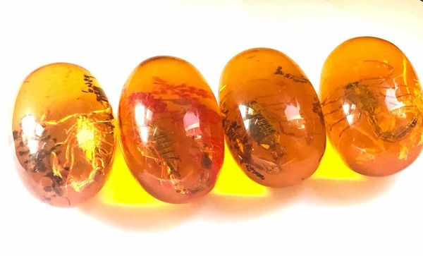 4 pcs real scorpion elliptic type jewelry vogue insect elliptic ball, Slivery;golden
4 pcs real scorpion elliptic type jewelry vogue insect elliptic ball, Slivery;golden