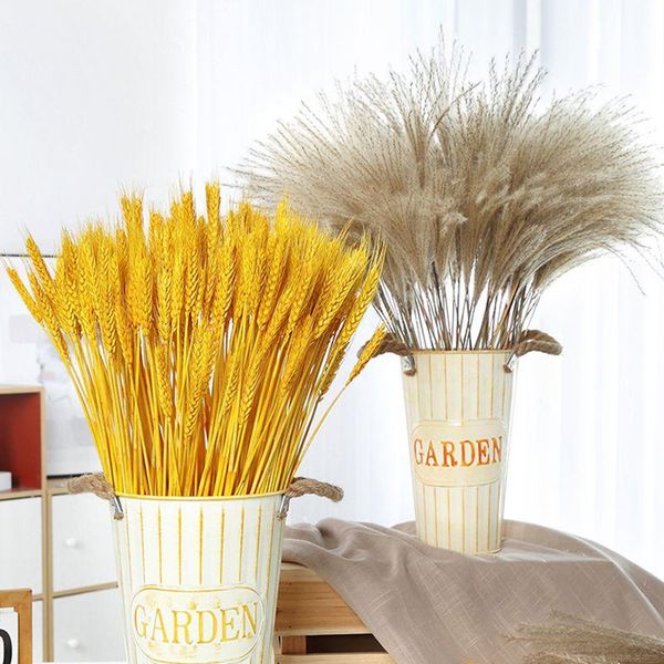 artificial flowers wheat ear flower decoration natural pampas reed grass dried wedding party craft scrapbook bouquet decorative & wreaths
artificial flowers wheat ear flower decoration natural pampas reed grass dried wedding party craft scrapbook bouquet decorative & wreaths