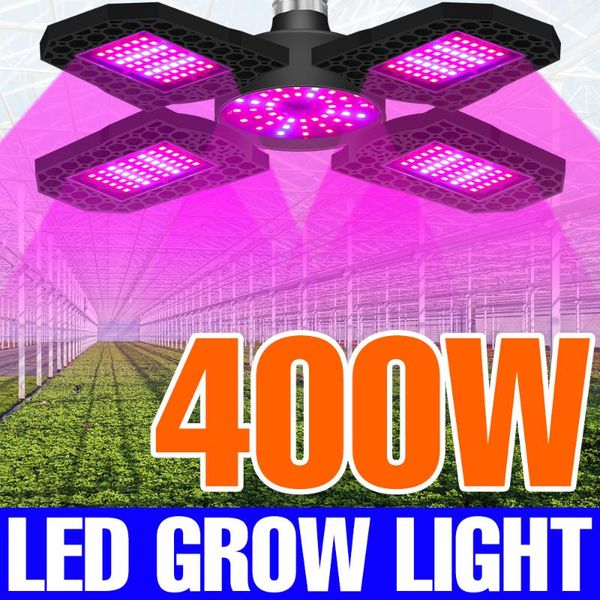 phyto lamp led grow lights 220v plants seeds lampara e27 hydroponics bombilla 110v 200 300 400w e26 greenhouse growth tent bulbs
phyto lamp led grow lights 220v plants seeds lampara e27 hydroponics bombilla 110v 200 300 400w e26 greenhouse growth tent bulbs