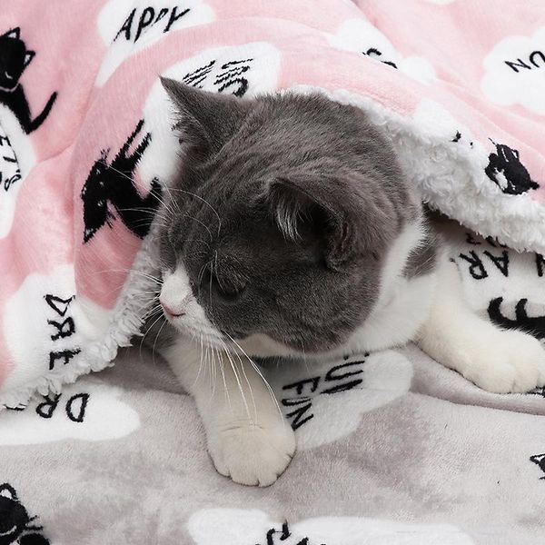 kennels & pens winter pet dog bed mat soft fleece puppy cat blanket mattress beds warm sleeping cushion kennel for small medium large dogs
kennels & pens winter pet dog bed mat soft fleece puppy cat blanket mattress beds warm sleeping cushion kennel for small medium large dogs