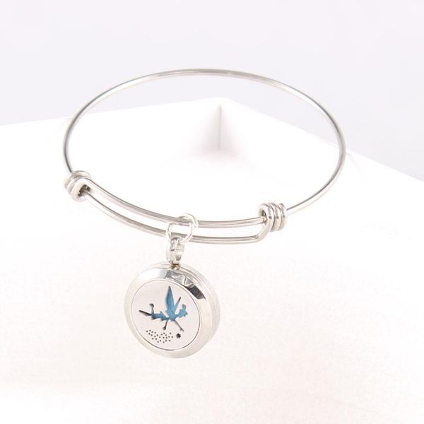 bangle 2021 316l stainless steel fairy perfume locket essential oil diffuser with adjustable expandable wire bracelet, Black
bangle 2021 316l stainless steel fairy perfume locket essential oil diffuser with adjustable expandable wire bracelet, Black