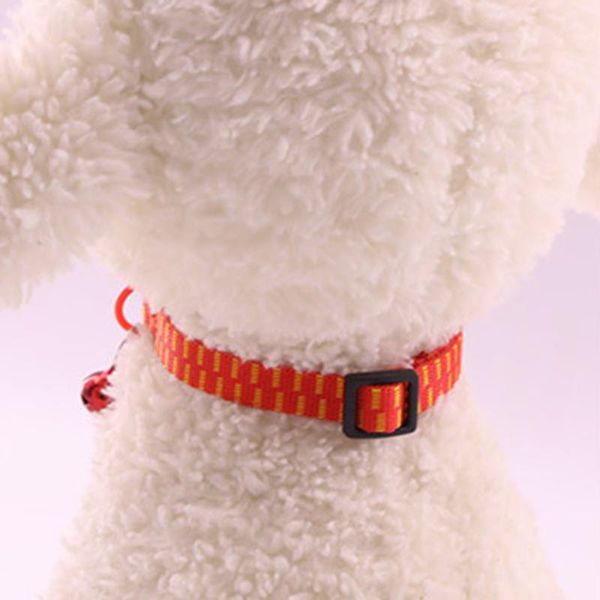 cat collars & leads flea collar anti-mosquito anti-lice nylons pet supplies summer cats products 2pc accessories gatos accesorios 2021
cat collars & leads flea collar anti-mosquito anti-lice nylons pet supplies summer cats products 2pc accessories gatos accesorios 2021