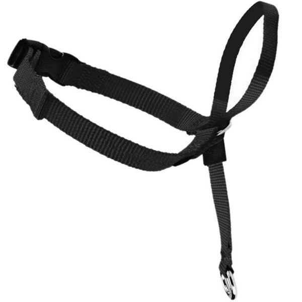pet head collar dogs gentle control training collars no-pull painless leash for dog supplies & leashes
pet head collar dogs gentle control training collars no-pull painless leash for dog supplies & leashes