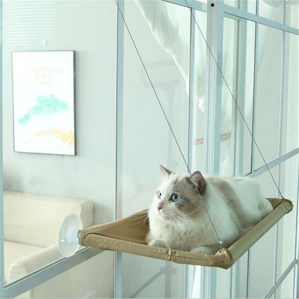 cat beds & furniture pet hanging bearing 20kg window mounted cusion comfortable hammock sofa seat
cat beds & furniture pet hanging bearing 20kg window mounted cusion comfortable hammock sofa seat