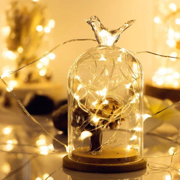 battery led fairy light copper silver wire string lights for bedroom patio garden party wedding holiday lighting strings
battery led fairy light copper silver wire string lights for bedroom patio garden party wedding holiday lighting strings