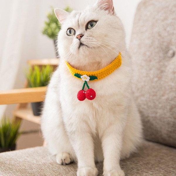 dog collars & leashes cat collar small dogs kitten necklace puppy bib cute knitted bell handmade headgear jewelry pet supplies
dog collars & leashes cat collar small dogs kitten necklace puppy bib cute knitted bell handmade headgear jewelry pet supplies