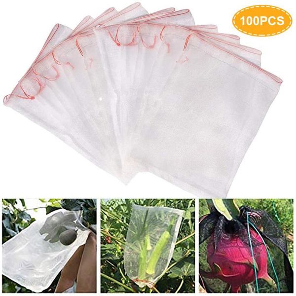 other garden supplies 30/50/100pcs netting bags vegetable fruit apples grape protection bag pest control anti-bird drawstring mesh
other garden supplies 30/50/100pcs netting bags vegetable fruit apples grape protection bag pest control anti-bird drawstring mesh
