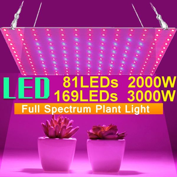 81/169 leds 2000w 3000w indoor led grow light plant growing lamp red blue full spectrum for hydroponic lights
81/169 leds 2000w 3000w indoor led grow light plant growing lamp red blue full spectrum for hydroponic lights