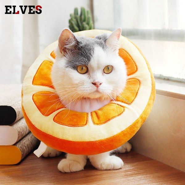 cat collars & leads fruit e-collar recovery cone adjustable cotton blends neck recover elizabeth pet protection collar fashion
cat collars & leads fruit e-collar recovery cone adjustable cotton blends neck recover elizabeth pet protection collar fashion