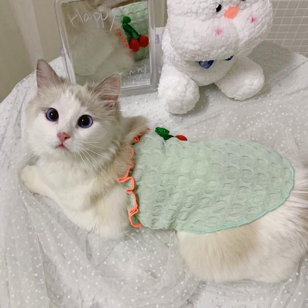 cat costumes clothes, summer puppets, spring and autumn, thin vests, kittens, anti-hair loss, pet kitten sling
cat costumes clothes, summer puppets, spring and autumn, thin vests, kittens, anti-hair loss, pet kitten sling
