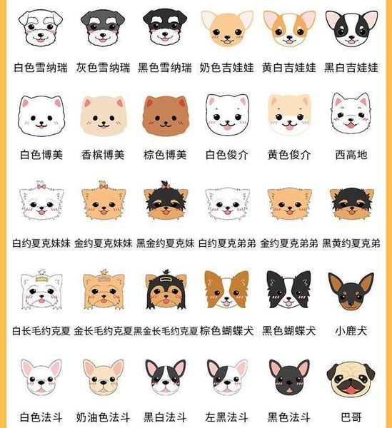 factory cat brand new universal necklace hang lose proof card present collar dog tag identity pet name plate positioni
factory cat brand new universal necklace hang lose proof card present collar dog tag identity pet name plate positioni