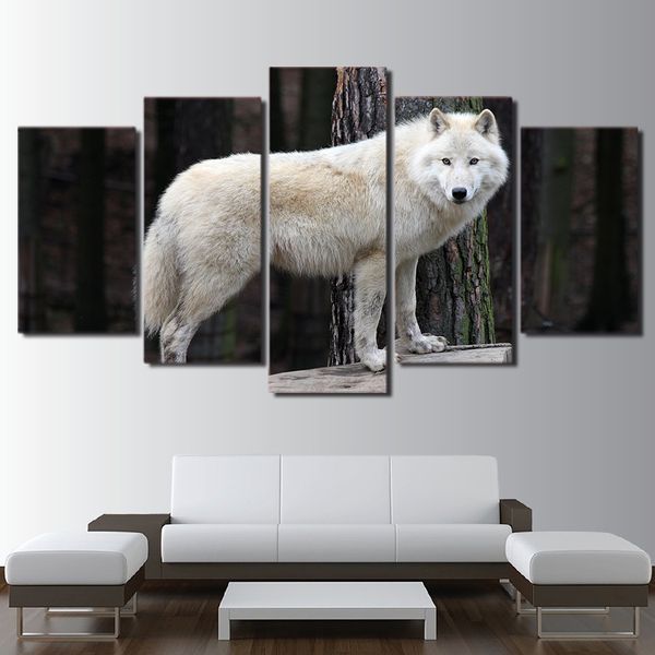 hd printed 5 piece canvas art white forest wolf staring painting wall pictures for living room modern(no frame)
hd printed 5 piece canvas art white forest wolf staring painting wall pictures for living room modern(no frame)