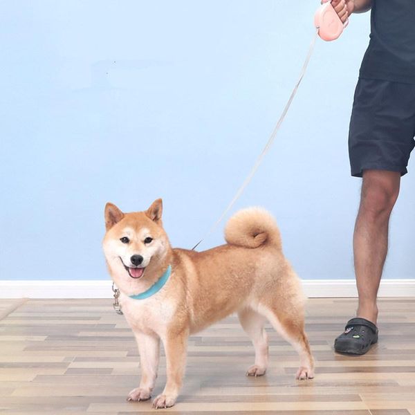 dog collars & leashes leash automatic retractable for dogs walking adjustable pet accessories walker products
dog collars & leashes leash automatic retractable for dogs walking adjustable pet accessories walker products