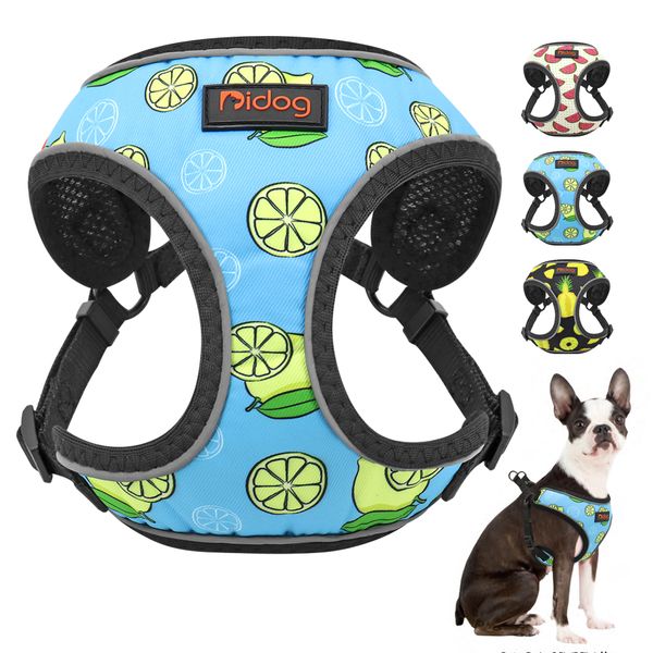 cute fruit small dog harness vest print cat puppy mesh reflective leashes dogs chihuahua yorkshire
cute fruit small dog harness vest print cat puppy mesh reflective leashes dogs chihuahua yorkshire