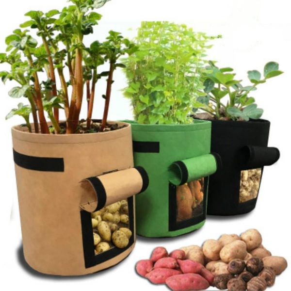 planters & pots plant bag potato grow container diy planter pe cloth planting vegetable gardening thicken pot
planters & pots plant bag potato grow container diy planter pe cloth planting vegetable gardening thicken pot