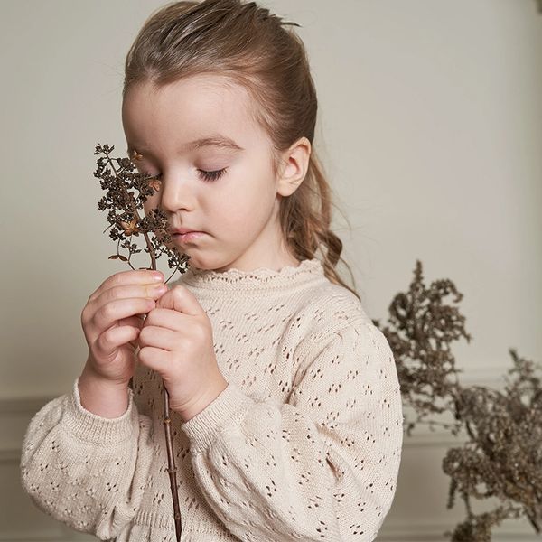 new autumn knitted hollow out baby girls sweaters puff sleeve solid color toddler kids princess pullovers sweater, Blue
new autumn knitted hollow out baby girls sweaters puff sleeve solid color toddler kids princess pullovers sweater, Blue