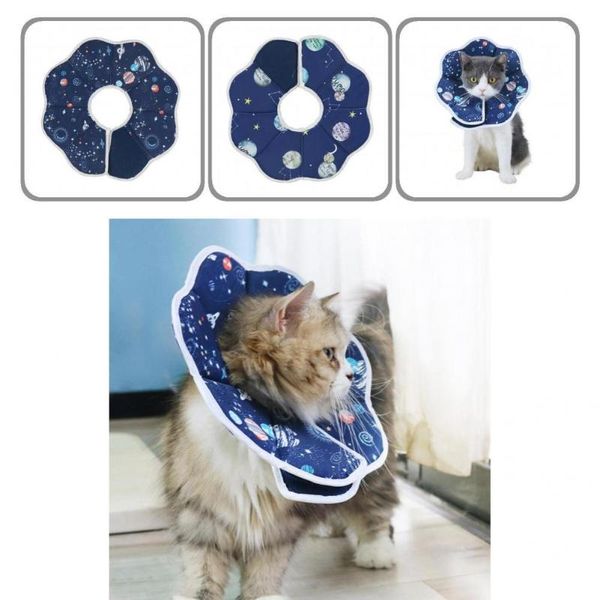 cat collars & leads kitten collar cute soft waterproof breathable 
cat collars & leads kitten collar cute soft waterproof breathable